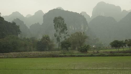 Mai's Homestay Trang An Village