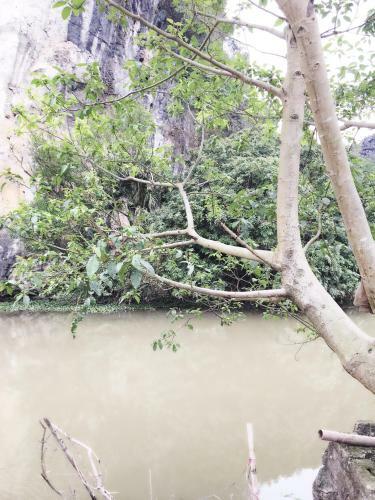 Mai's Homestay Trang An Village