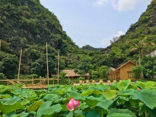 Lodge Green Mountain Homestay