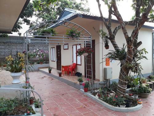 Bed & Breakfast Truc Linh Bungalow