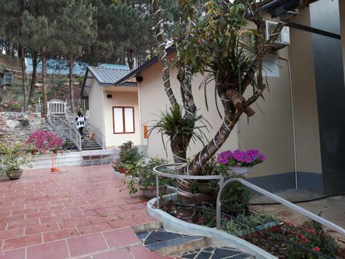 Bed & Breakfast Truc Linh Bungalow