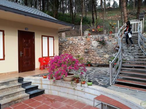 Bed & Breakfast Truc Linh Bungalow