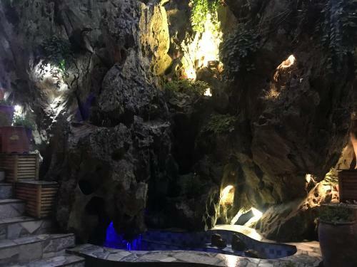 Tam Coc Bamboo