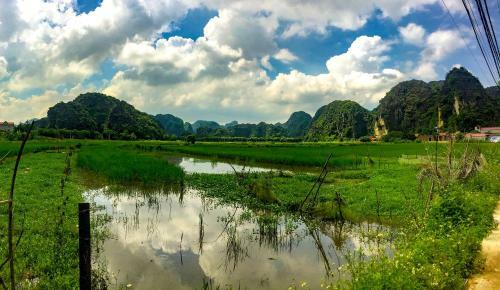 Tam Coc Bamboo