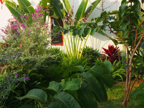 Hotel Hula Hula Beachfront Phu Quoc