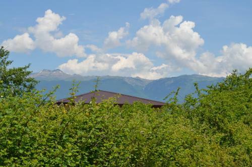 Posada Solnechny Bereg Guest House