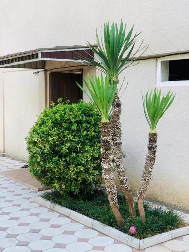 Hostal Guest House "marina"