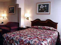 Hotel Baronne Inn And Suites