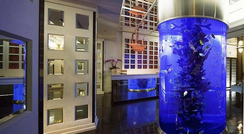 Hotel Dream