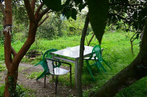 Apartamento Guest House Lakoba 32