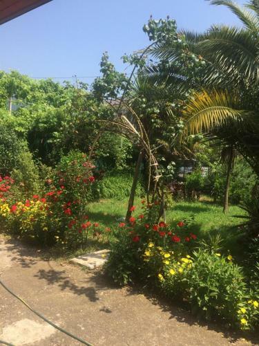 Bed & Breakfast Guesthouse Mira