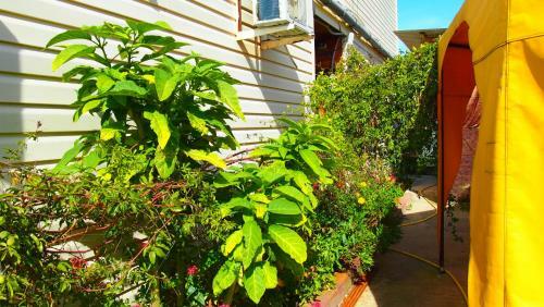 Hostal Guest House Morskaya Skazka