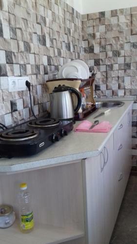 Hostal Guest House Zelenyi Dvorik