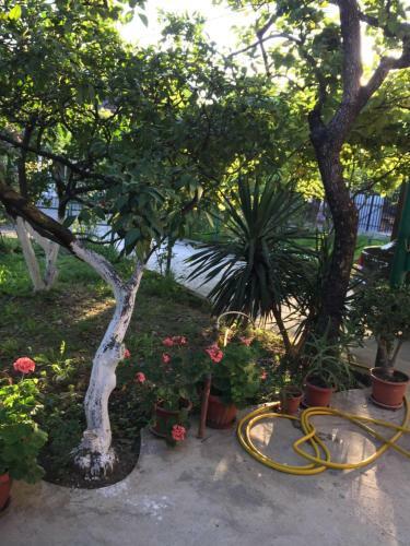Hostal Guest House Zelenyi Dvorik