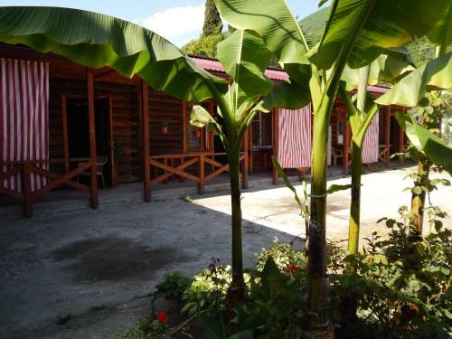 Hostal Otdykh U Tatyany Guest House