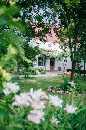 Hostal Guest House Domgrozde