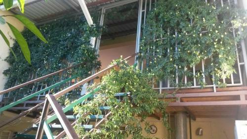 Hostal Guest House Mimoza