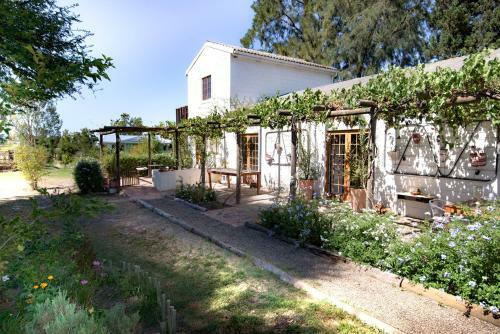 Apartamento Boerfontein - Home Of Olivision