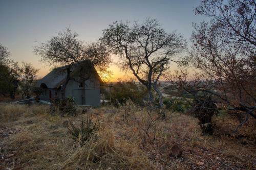 Lodge Misava Safari Camp - Klaserie Drift
