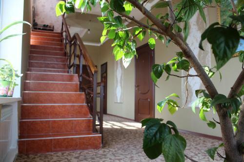 Hostal Guest House U Druzey