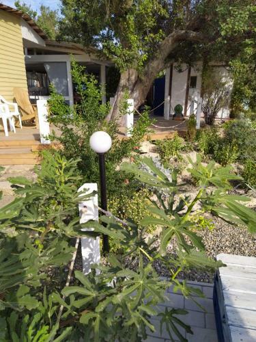 Hostal Tikhaya Gavan Guest House