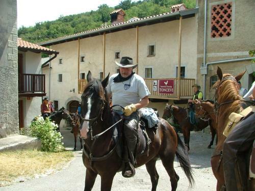Hostal Bio Guesthouse Kmetija Toncevi