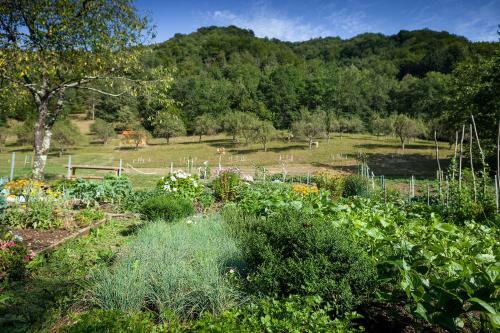 Agroturismo Tourist Farm Zelinc