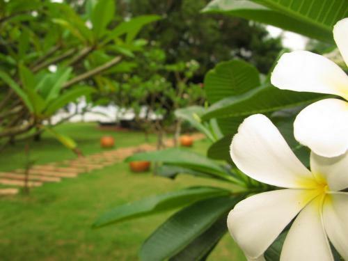 Hotel Baan Pun Sook Resort