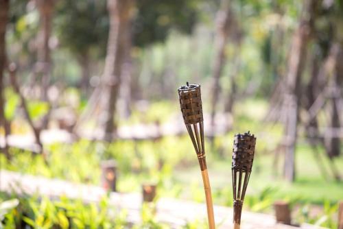 Hotel The Series Resort Khaoyai