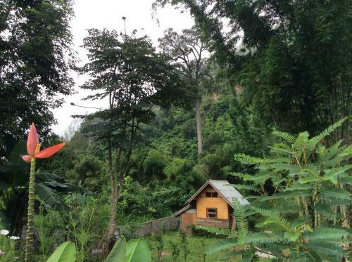 Hotel Chiang Dao Hut Resort