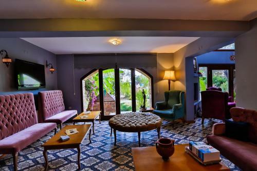 Palace Hotel Olive Odore