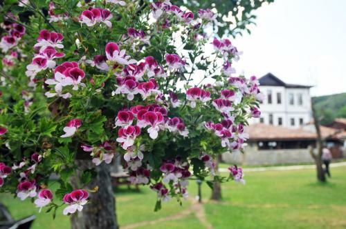Agroturismo Hotel Sadibey Ciftligi