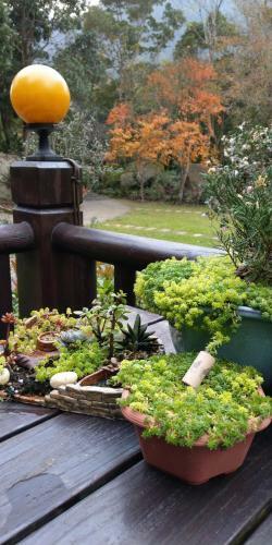 Bed & Breakfast Star Coffee & Homestay