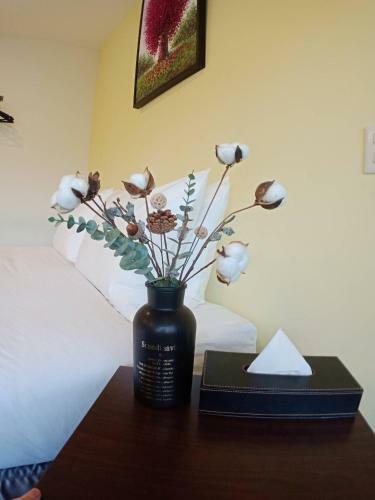 800 Lan Homestay