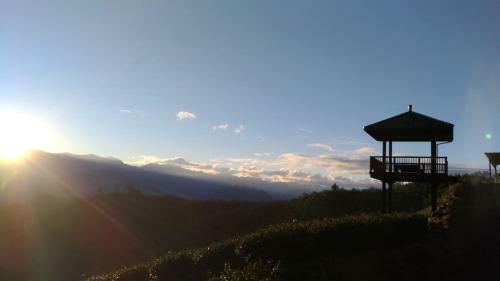 Miao Home