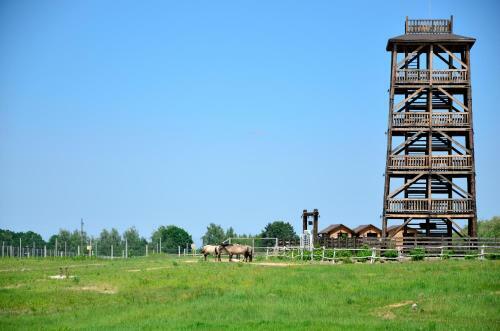 Camping In Nature Park Beremytske