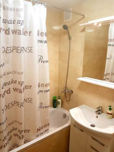 Apartment Lutsk Centre