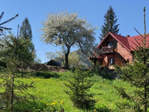 Hostal Nad Prutom Apartment