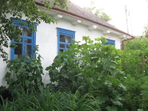 Agroturismo Kalynoviy Kucsh