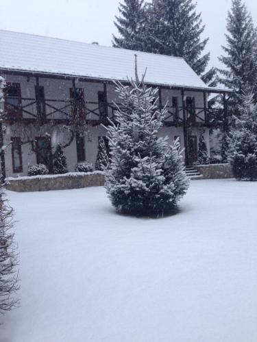 Hostal Zorianyy Guest House