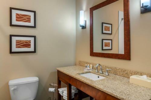 Hotel Comfort Inn South Chesterfield - Colonial Heights