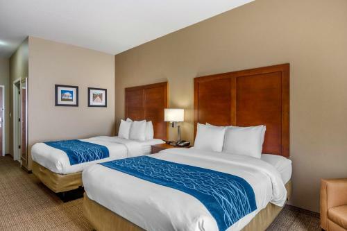 Hotel Comfort Inn South Chesterfield - Colonial Heights