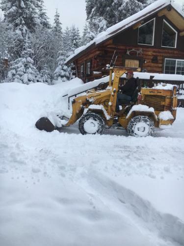 Andersen's Evergreen Cabin