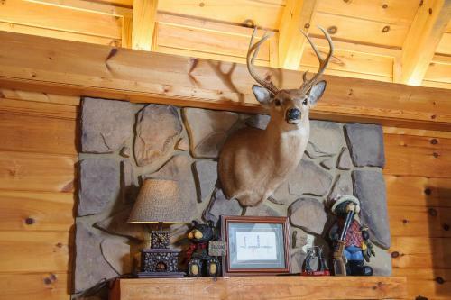 Bama Bear's Den