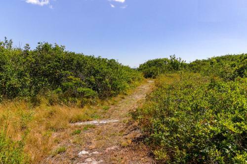 Surfside