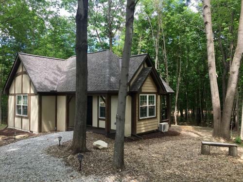 Lodge Vineyard Woods