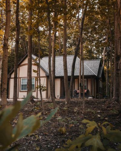 Lodge Vineyard Woods