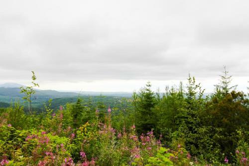 Port Angeles Blue Mountain Lodge With Bunkhouse