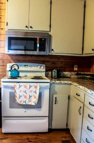 Lake View Cabin