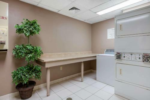 Hotel Quality Inn & Suites Benton - Draffenville